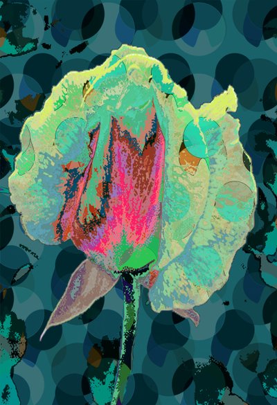 Tea Rose 4 by Scott J. Davis